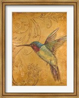 Framed Golden Hummingbird II