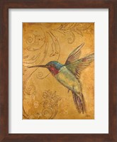 Framed Golden Hummingbird II
