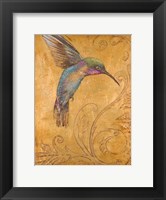 Framed Golden Hummingbird I