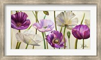 Framed Poppies in Spring I