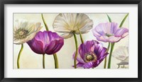 Poppies in Spring II Framed Print