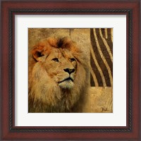 Framed Elegant Safari II (Lion)