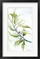 Branches To The Wind I Framed Print