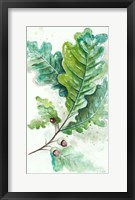 Branches To The Wind II Framed Print