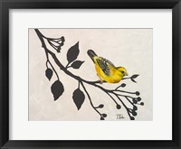 Framed Yellow Bird On the Branch I