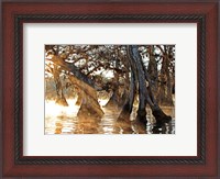 Framed Cypress Creek II