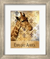 Framed Explore Africa