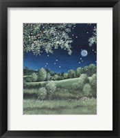 Framed Fireflies Meadow
