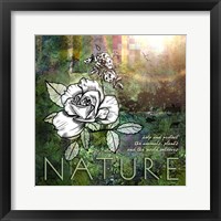 Framed Nature