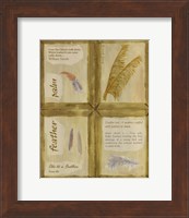 Framed Feather Palm