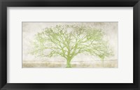 Framed Green Tree