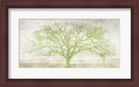 Framed Green Tree