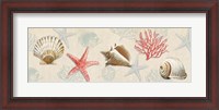 Framed Gifts from the Ocean