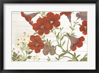 Summer Salpiglossis Cottage Framed Print