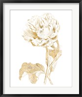 Framed Gilded Botanical VII