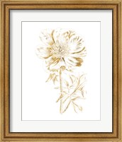 Framed Gilded Botanical VIII
