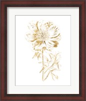Framed Gilded Botanical VIII