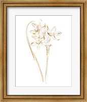 Framed Gilded Botanical IV