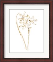Framed Gilded Botanical IV