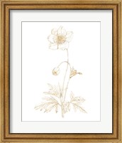 Framed Gilded Botanical II