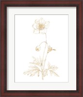 Framed Gilded Botanical II