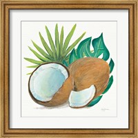 Framed Coconut Palm V