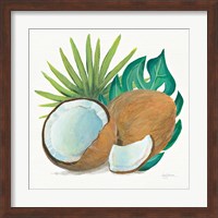Framed Coconut Palm V