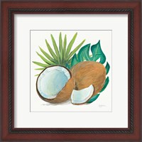 Framed 'Coconut Palm V' border=