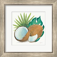 Framed 'Coconut Palm V' border=