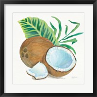 Framed Coconut Palm II