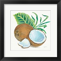 Coconut Palm II Framed Print