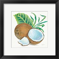 Framed 'Coconut Palm II' border=
