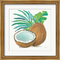 Framed Coconut Palm III
