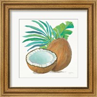 Framed 'Coconut Palm III' border=