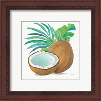 Framed 'Coconut Palm III' border=