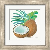 Framed Coconut Palm III