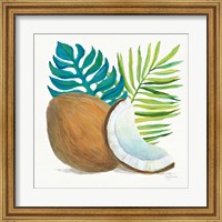 Framed Coconut Palm IV