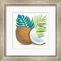 Framed 'Coconut Palm IV' border=