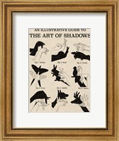 Framed Art of Shadows X