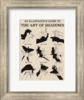 Framed Art of Shadows X