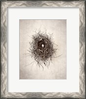 Framed 'Nest I' border=