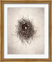 Framed Nest I
