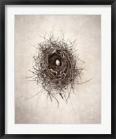 Framed Nest I