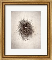 Framed Nest I