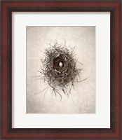 Framed 'Nest I' border=