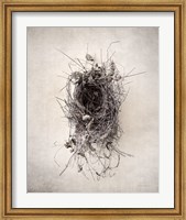 Framed Nest II