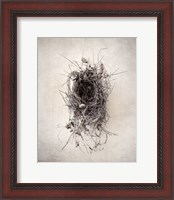 Framed Nest II