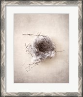 Framed Nest III