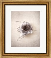 Framed Nest III