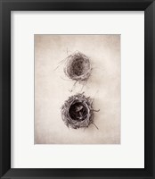 Framed 'Nest IV' border=